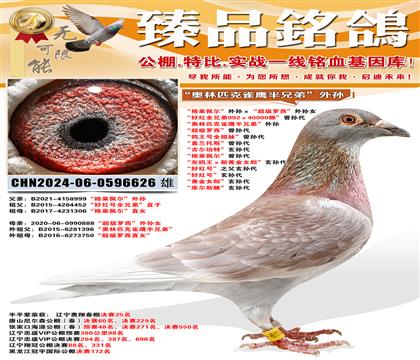 ��������������������������������Ů ���ú�ȫ�ֵ�992��4