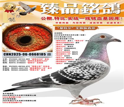 ��������컪����鳲 �����ض�006��ֱ�����������ꡱ����