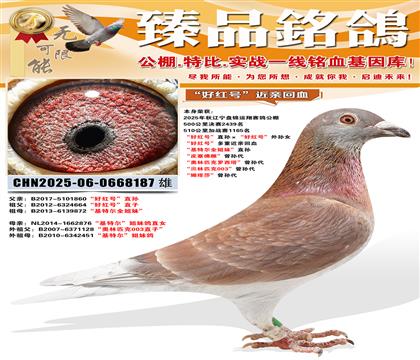 �̽����蹫��鳲���ú�š�ֱ������ú�š�����Ů ���ú�š�