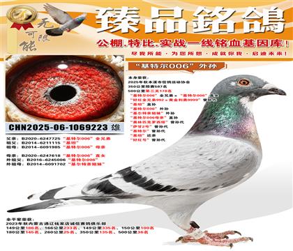 500����178�������ض�006��ȫ�ֵܡ������ض�006��ֱ