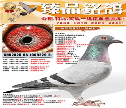 500����150����ղ��˹801����������½�ķ��Ѫ237��