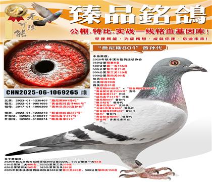 350����8�����Ĺ��ۺ�31����ղ��˹801����������½�ķ