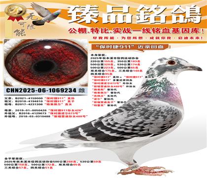 500����65�����Ĺ��ۺ�95������ʱ��911��ֱ�������ʱ