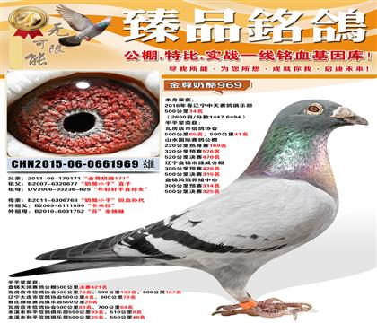 500����14��������С�ӡ����ؽ��׻�Ѫ���峬������~��