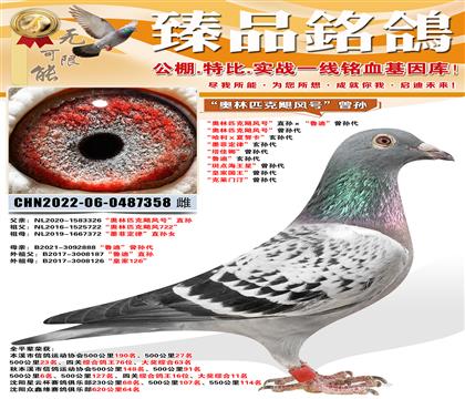 ������ƥ��쫷�š�ֱ�����³�ϡ������ ������ƥ��쫷�š���