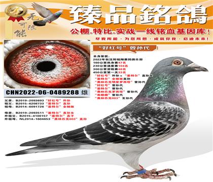 450����33�� ���ú�š�����������ض���ֱ��Ů �����ض�