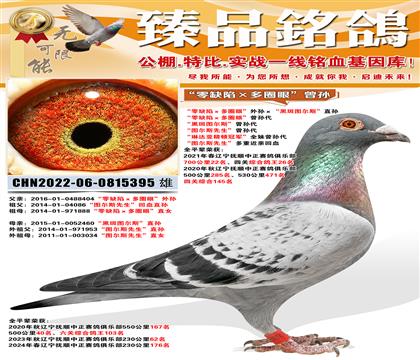 ����ȱ�ݡ���Ȧ�ۡ���������ڰ�ͼ��˹��ֱ�� ����ȱ�ݡ���Ȧ��