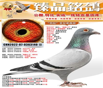 ���ж�240��ֱ���������С�ӡ�ֱ��Ů ���ж�240������