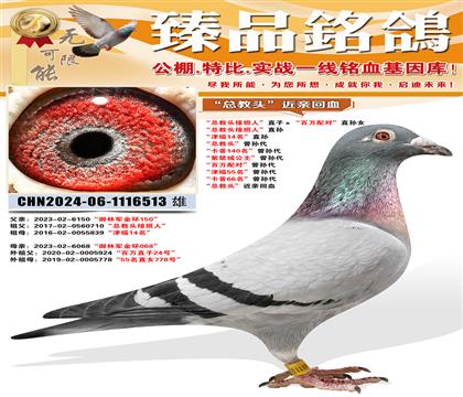 ���ܽ�ͷ�Ӱ��ˡ�ֱ�ӡ���������ԡ�ֱ��Ů ���ܽ�ͷ�Ӱ��ˡ�ֱ