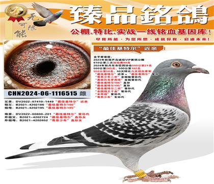 ����ѻ��ض������ס�����ѻ��ض������� ����ѻ��ض�186��