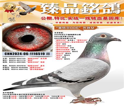 ���� ���蹫��鳲�����ض�006��ȫ�ֵܡ������ض�006��ֱ