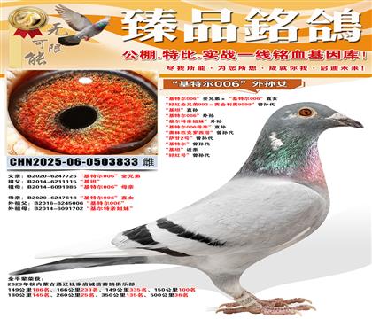 �����ض�006��ȫ�ֵܡ������ض�006��ֱŮ ���ú�ȫ�ֵ�9