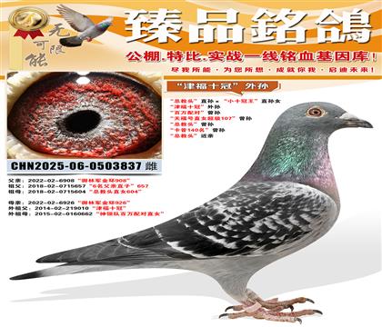 ���ܽ�ͷ��ֱ�����Сʮ������ֱ��Ů ����ʮ�ڡ����� ������