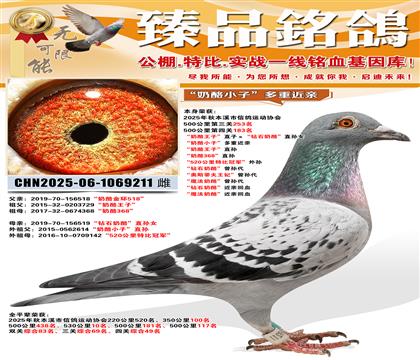 500����183�����������ӡ�ֱ�ӡ�����ʯ���ҡ�ֱ��Ů ����