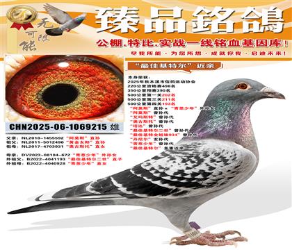 500�����193������Ī˹��ֱ�����������ꡱ����Ů ����