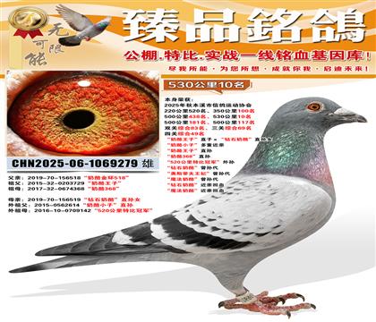 530����10�����Ĺ��ۺ�49�����������ӡ�ֱ�ӡ�����ʯ����