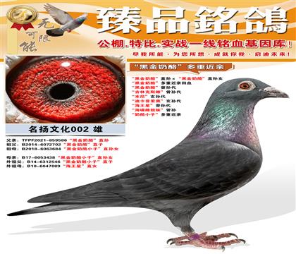 ���ڽ����ҡ�ֱ������ڽ����ҡ�ֱ��Ů ���ڽ����ҡ����ؽ��׻�