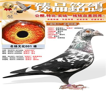 ��Ƥ����������ֱ�����Ƥ����������ֱ��Ů ��Ƥ���������ؽ���