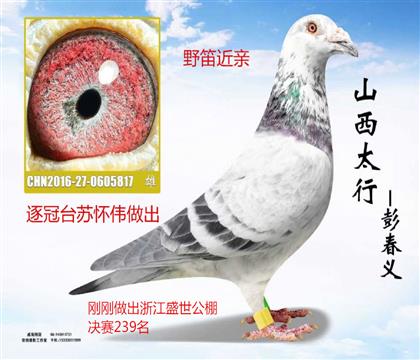 ���̨�ջ�ΰ����Ұ�ѽ���