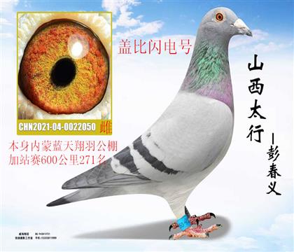 ���������������վ��600����271���Ǳ������