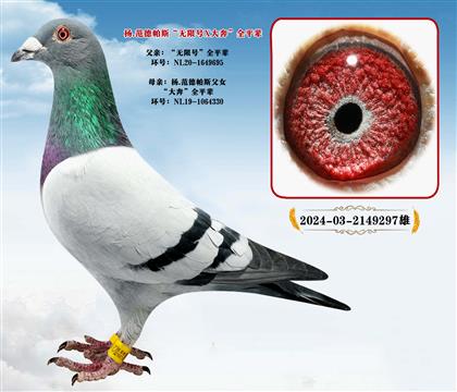 ��.������˹�����޺š�ȫƽ��X���󱼡�ȫƽ��