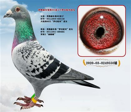 ���ºն���003ֱ��X�λ����ֱŮ