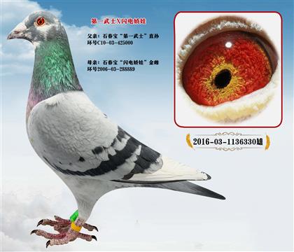 ʯ��������һ��ʿ��ֱ��X�����罿�ޡ�����