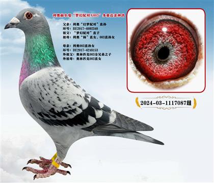 ���ºն������λ����X����003�����ؽ����ָ�