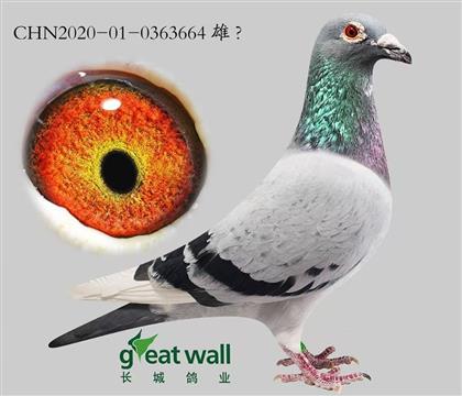 ���Ǹ�ҵ��������ͬ�����