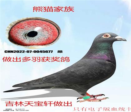 �챦����è����