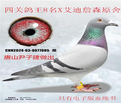 ��ɽ���ӽ������Ĺظ���8X����ղɭԭ��