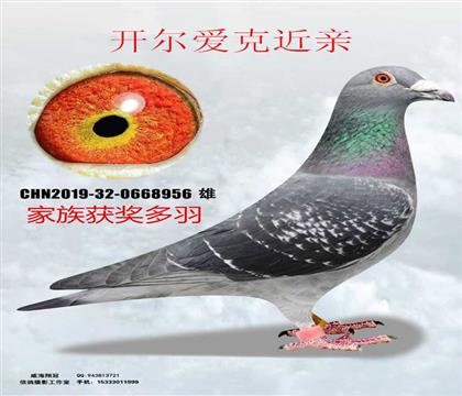 �������˽���