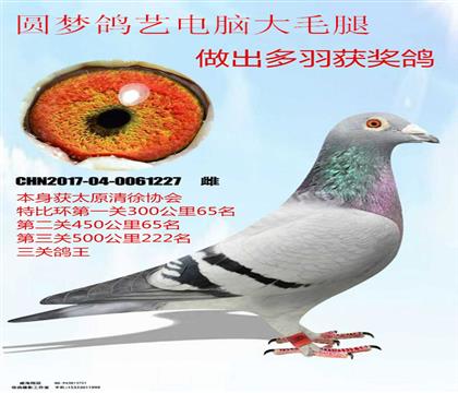 �����ָ����ظ���Բ�θ��յ��Դ�ë��