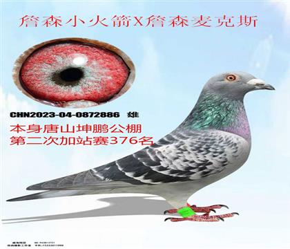 ��ɽ������վ��376��ղɭС���Xղɭ���˹