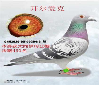 ��ͬ���ṫ�����431����������