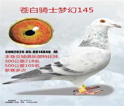 �رȻ�105���԰���ʿ����