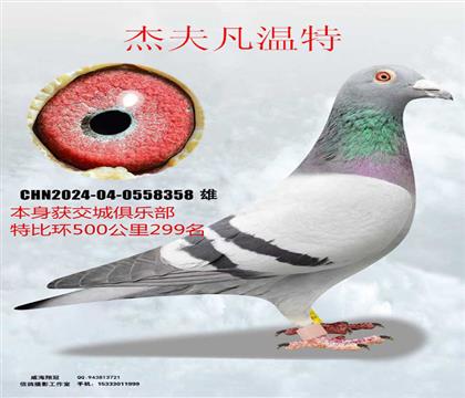 �رȻ�299���ܷ�����