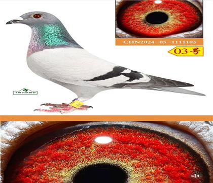 ʥ����ҵ������103