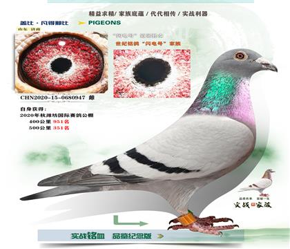 ����ܽ��