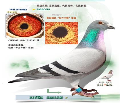 ����ͯ��