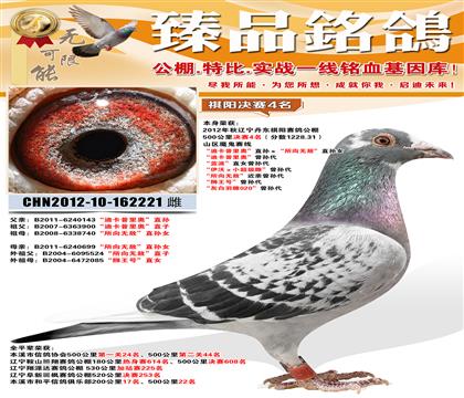 ������������4�����Ͽ�����¡�ֱ����������޵С�ֱ��Ů ����