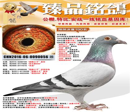 ���Ԥ��15��������190�������˹698��ֱ��Ů ����ŵ��