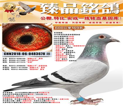 600����169��������С�ӡ�ֱ������������098������Ů