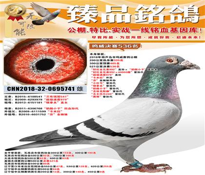 �����������536�����������𡰺ú�ȫ�ֵ�992��ֱ�������