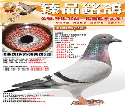 ��������Ԥ��164��������671����ͼ��˹˧�硱ֱ�� ������