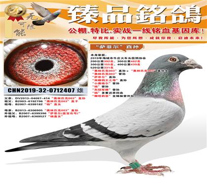 520����331��������ƥ��003������ �����ƶ���ֱ�� ��