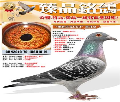 ������ᡰ����ƥ��003��ֱ�ӡ��������ֱŮ ������ƥ��0