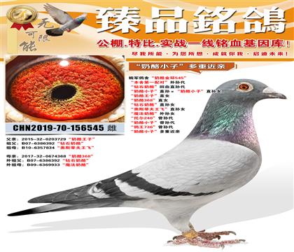 ������ᡰ����С�ӡ�ֱ���������С�ӡ�ֱ��Ů ���������ӡ�ֱ