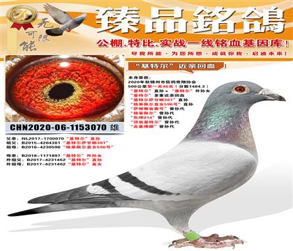 500����46�������ض���ֱ��������ض�������Ů �����ض���