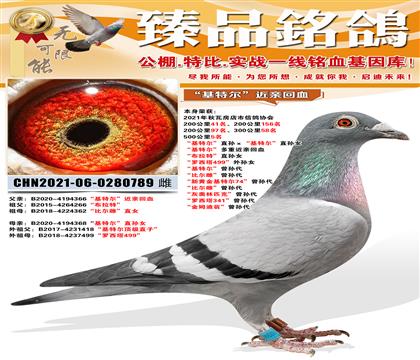 500����5�� �����ض���ֱ��������ض���ֱ��Ů �����ض���